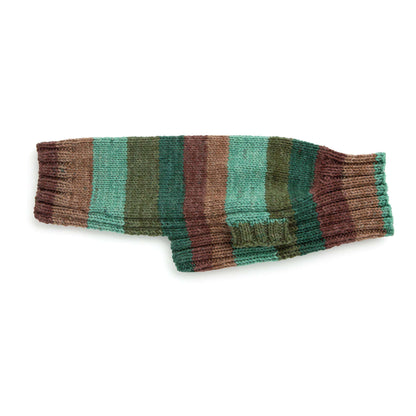 Red Heart Let's Go Rib Knit Dog Sweater Rainbow