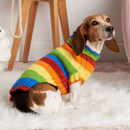 Red Heart Let's Go Rib Knit Dog Sweater Rainbow