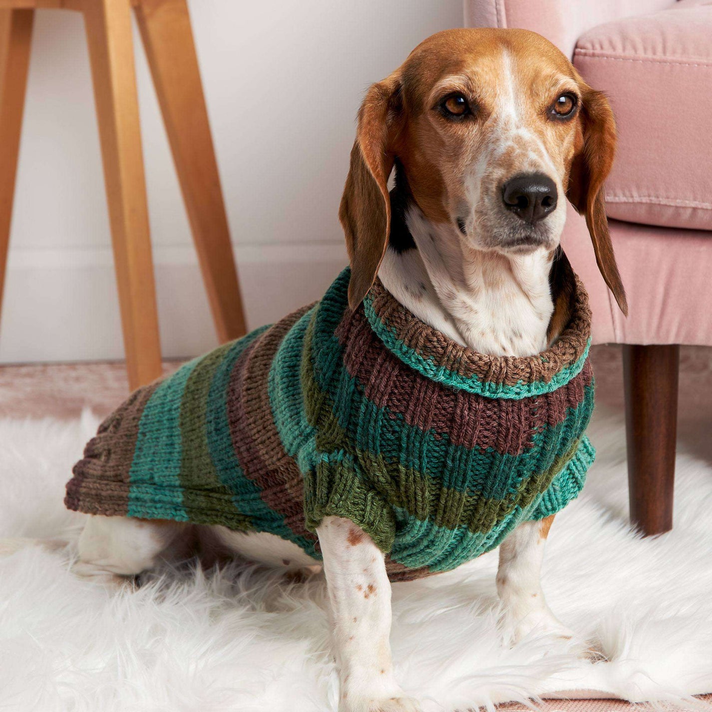 Red Heart Let's Go Rib Knit Dog Sweater Yarnspirations