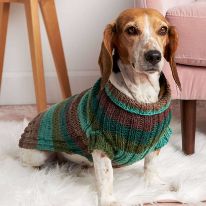 Red Heart Let's Go Rib Knit Dog Sweater Rainbow