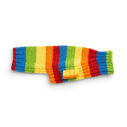 Red Heart Let's Go Rib Knit Dog Sweater Rainbow