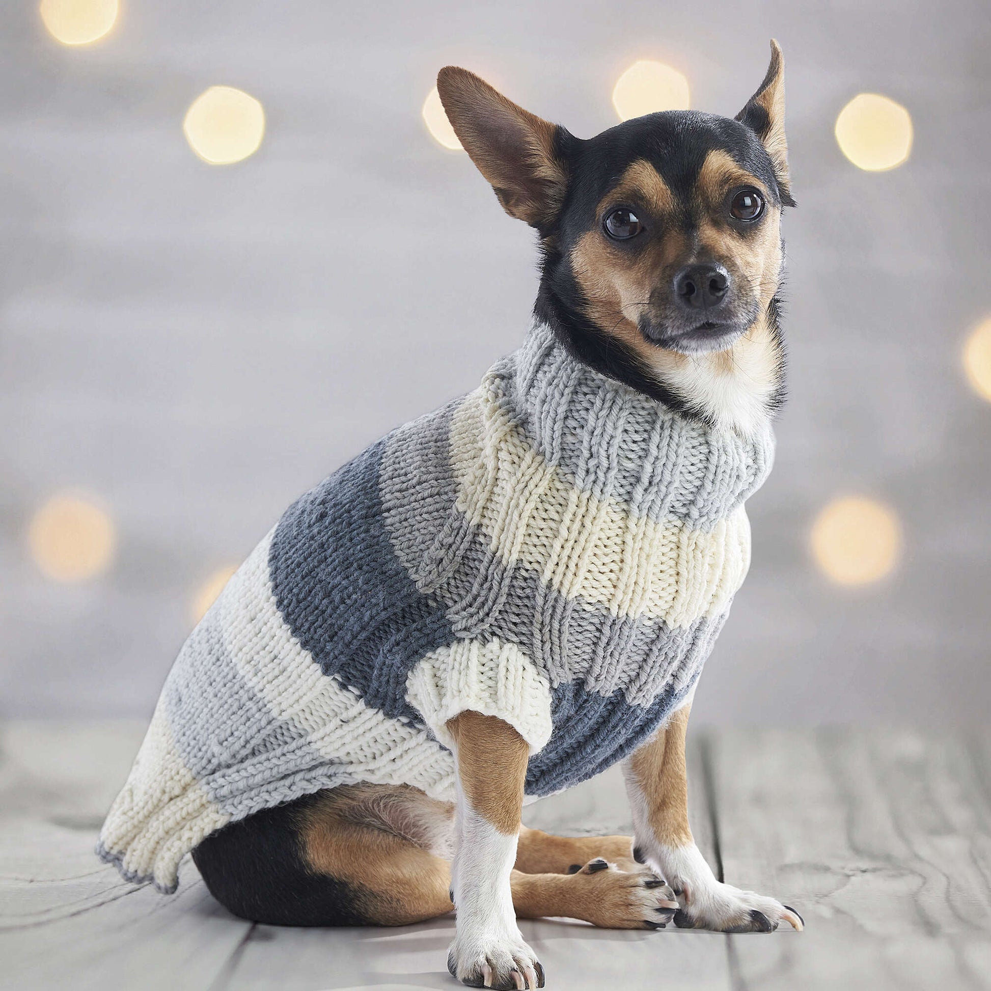 Free Red Heart Let’S O’Go Crazy Knit Dog Sweater Set Pattern