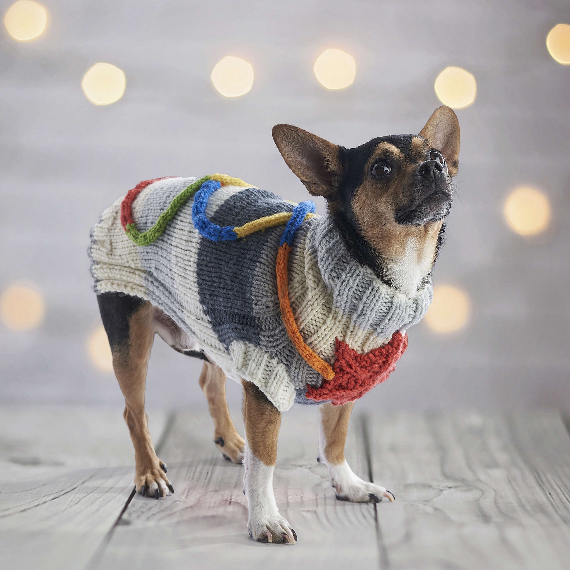 Free Red Heart Let’S O’Go Crazy Knit Dog Sweater Set Pattern