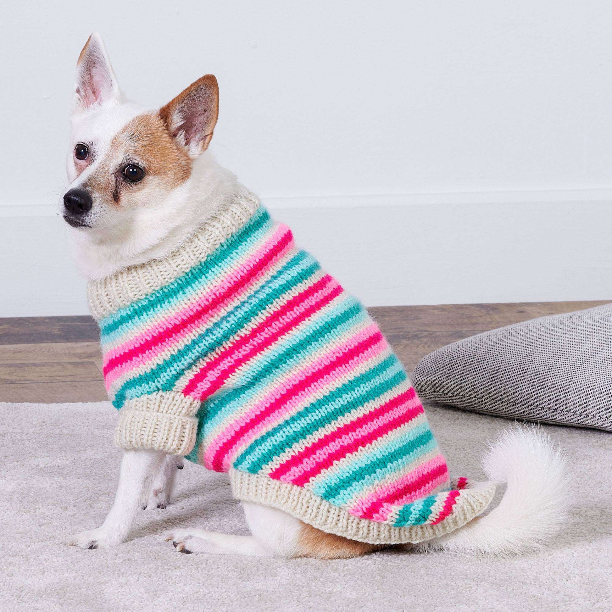 Free Red Heart Jazzy Stripes Knit Dog Coat Pattern