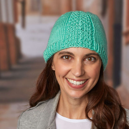 Red Heart Knit Herringbone Hat Knit Hat made in Red Heart Soft Yarn