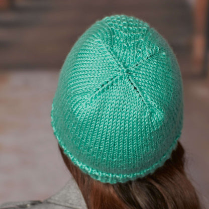 Red Heart Knit Herringbone Hat Knit Hat made in Red Heart Soft Yarn