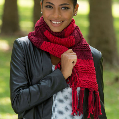 Red Heart Knit Gender Neutral Scarf Red Heart Knit Gender Neutral Scarf