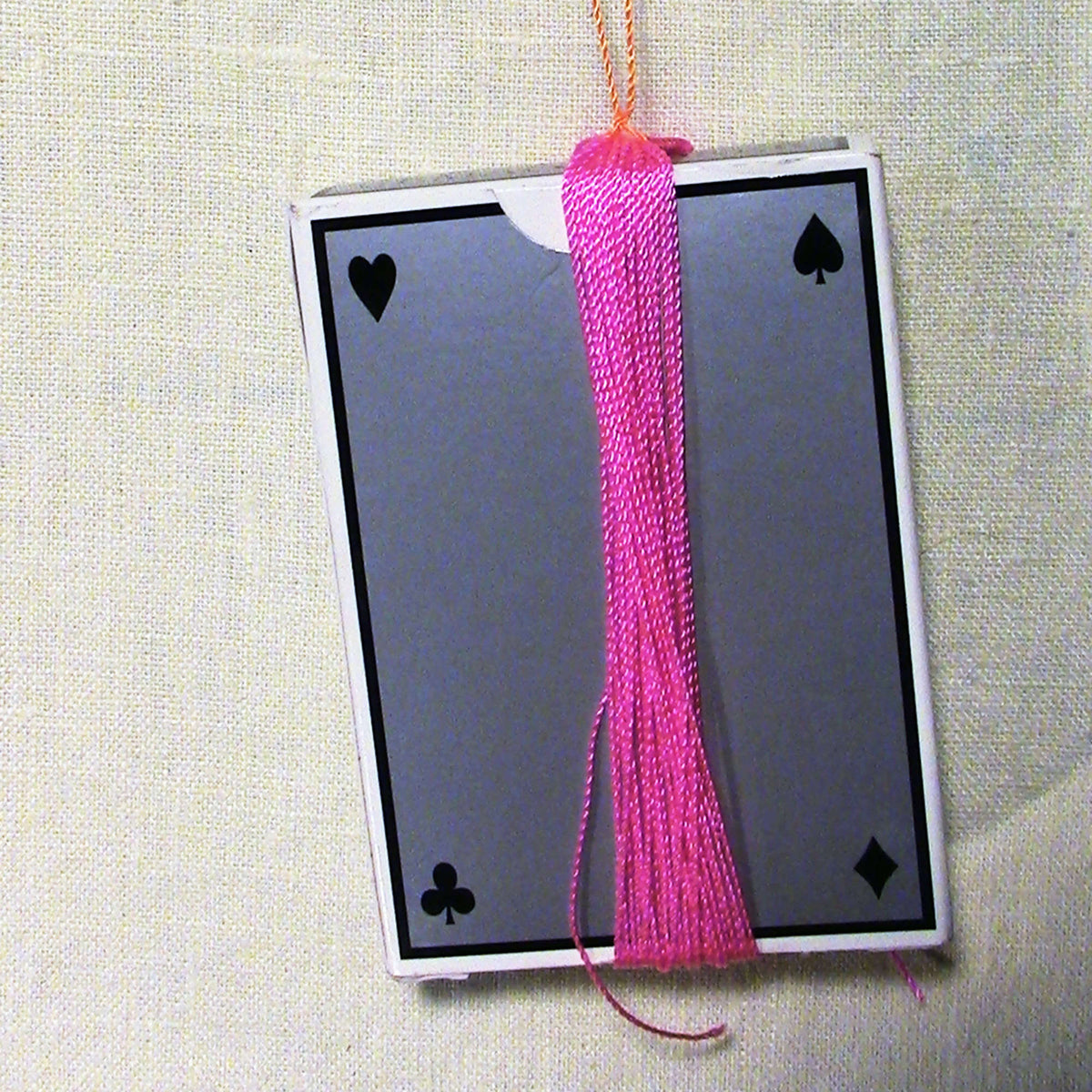 Craft Necklace made in Red Heart Sizzle Yarn