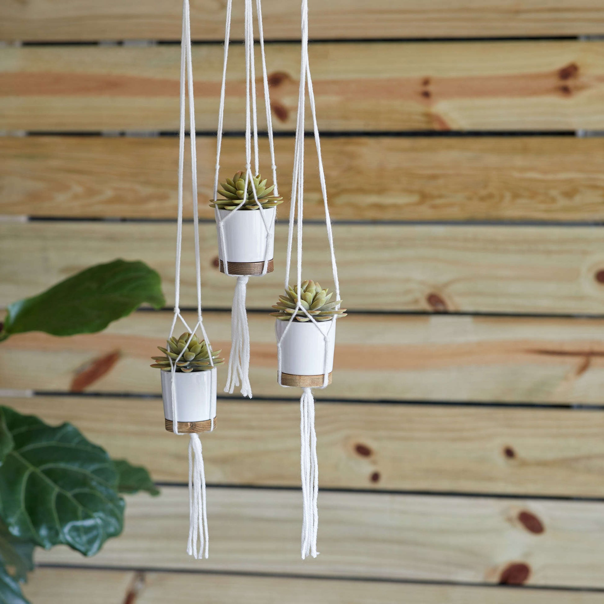 Free Red Heart Craft Knotted Plant Hangers Pattern
