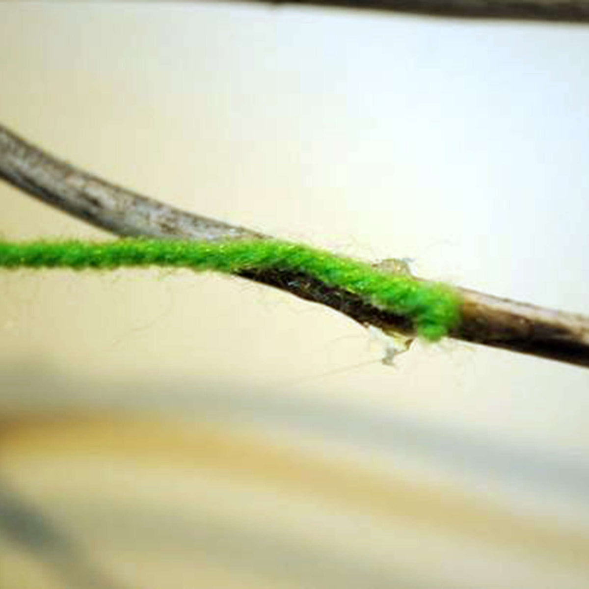 Craft Holder made in Red Heart Super Saver Yarn