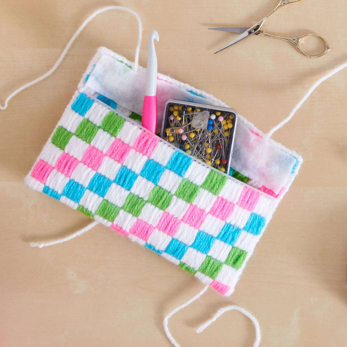 Craft Notions Case made in Red Heart Super Saver yarn