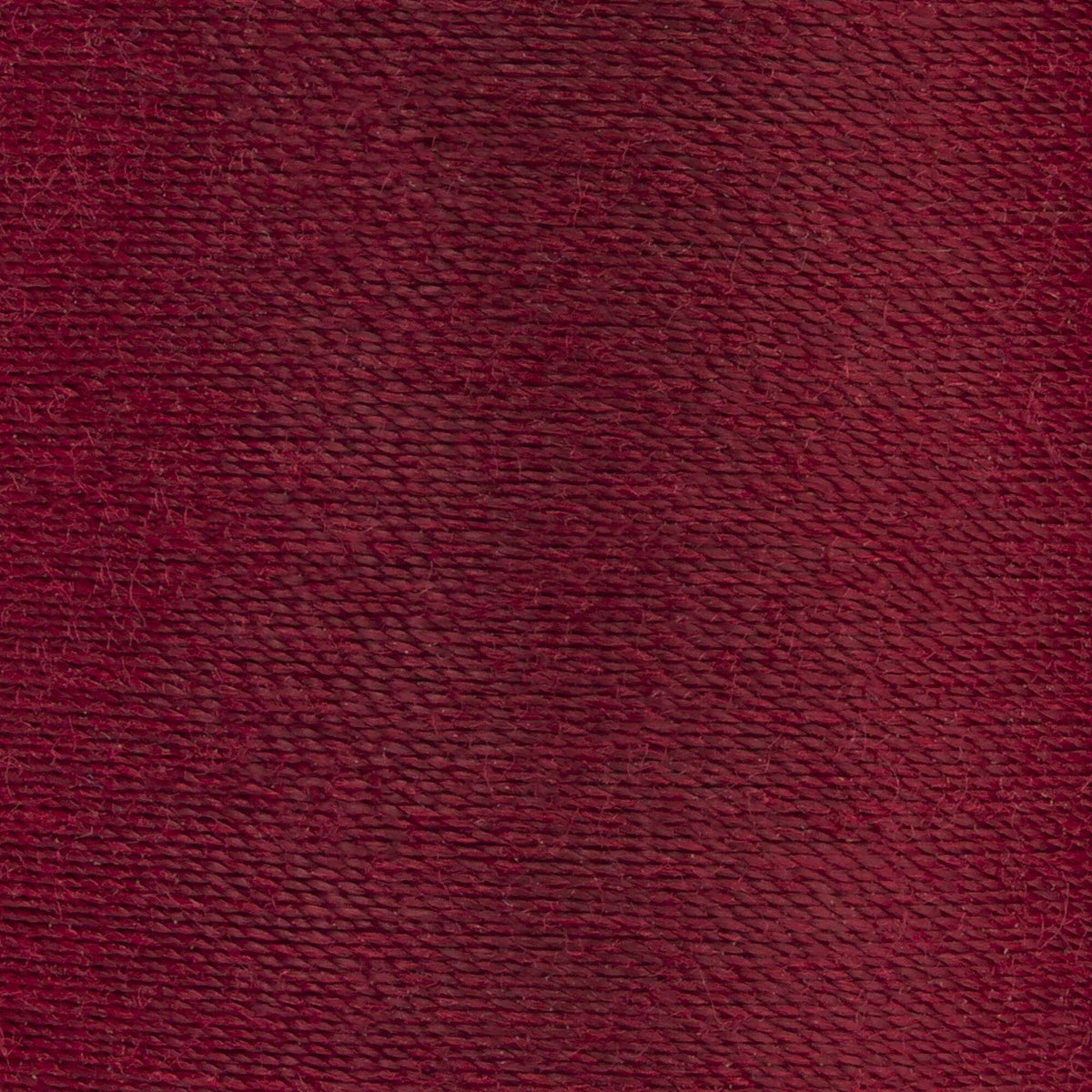 Barberry Red