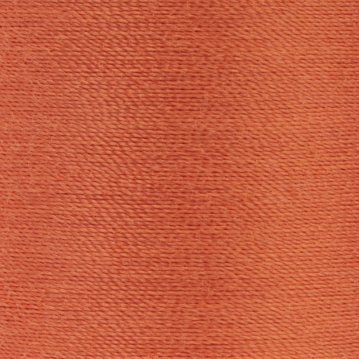 Coral Rust
