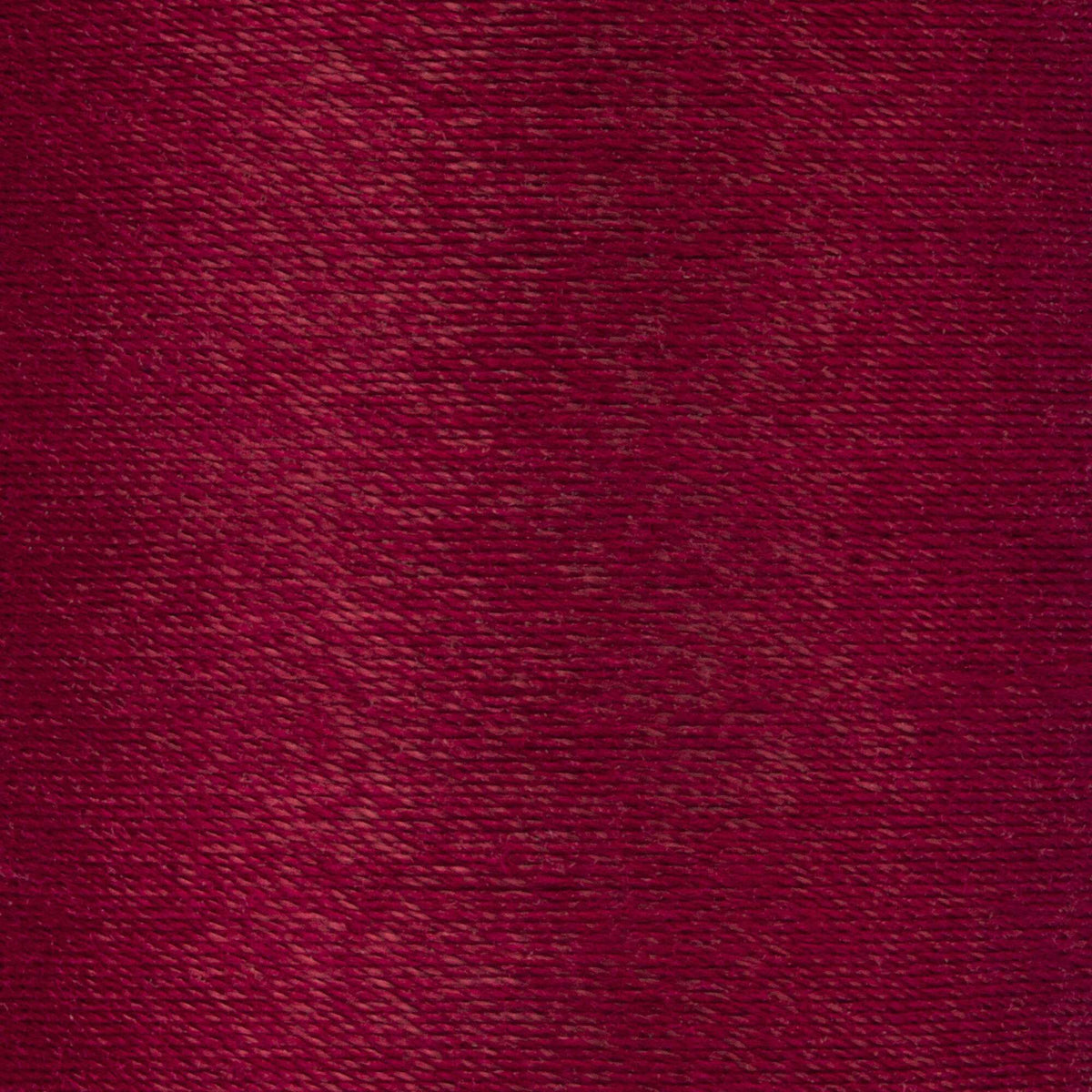 Barberry Red