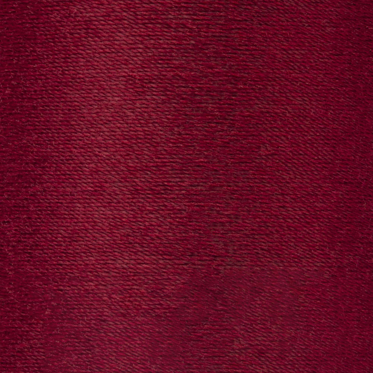 Barberry Red