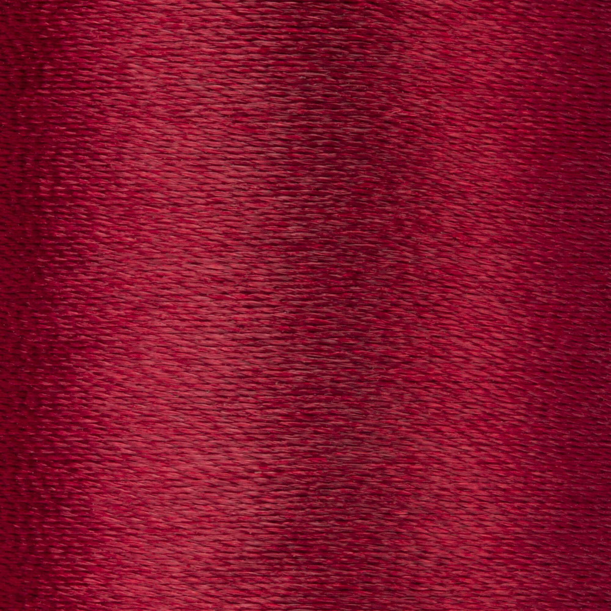 Barberry Red
