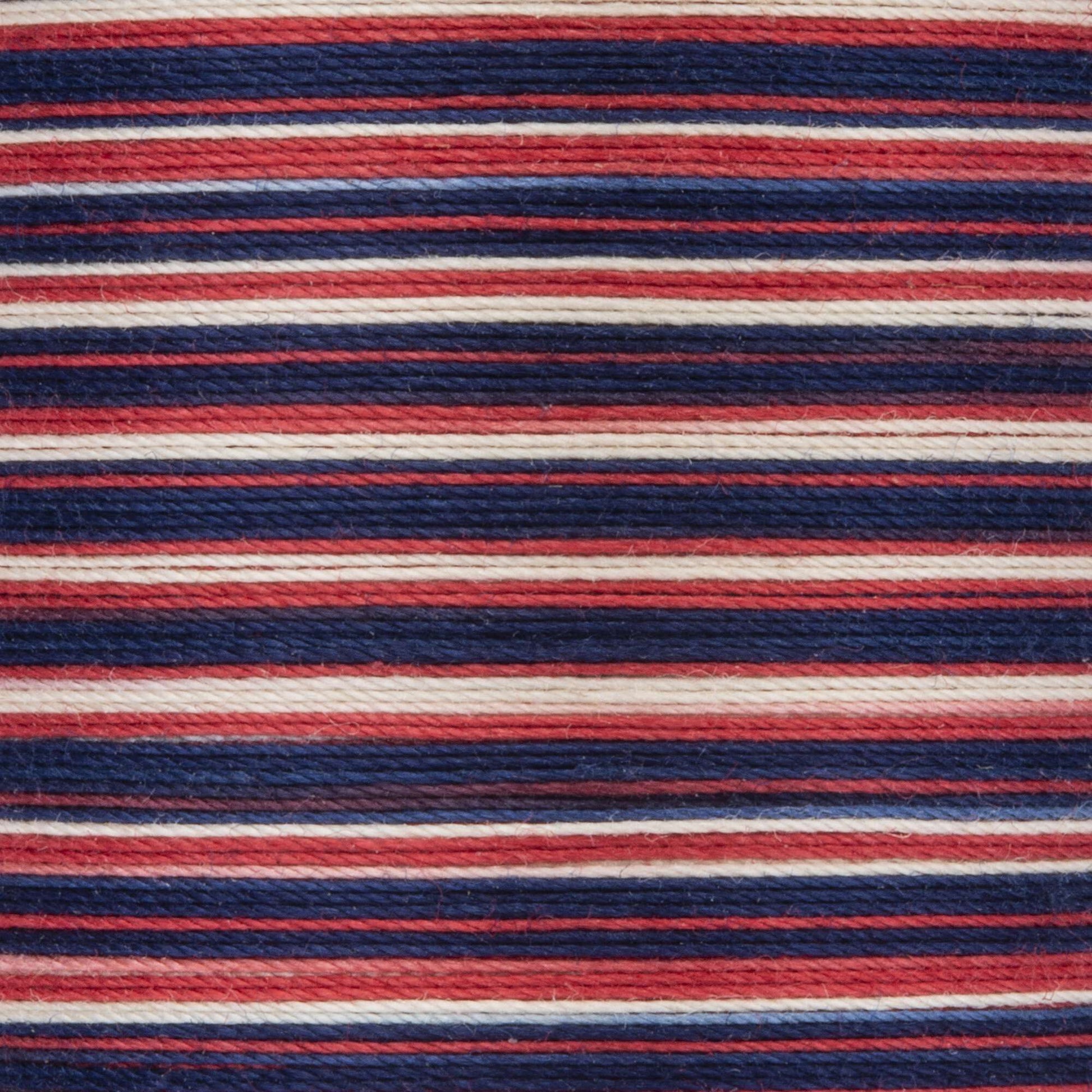 Coats & Clark Cotton Machine Quilting Multicolor Thread (225 Yards) Americana