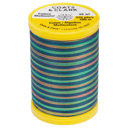 Coats & Clark Cotton Machine Quilting Multicolor Thread (225 Yards) Jewels