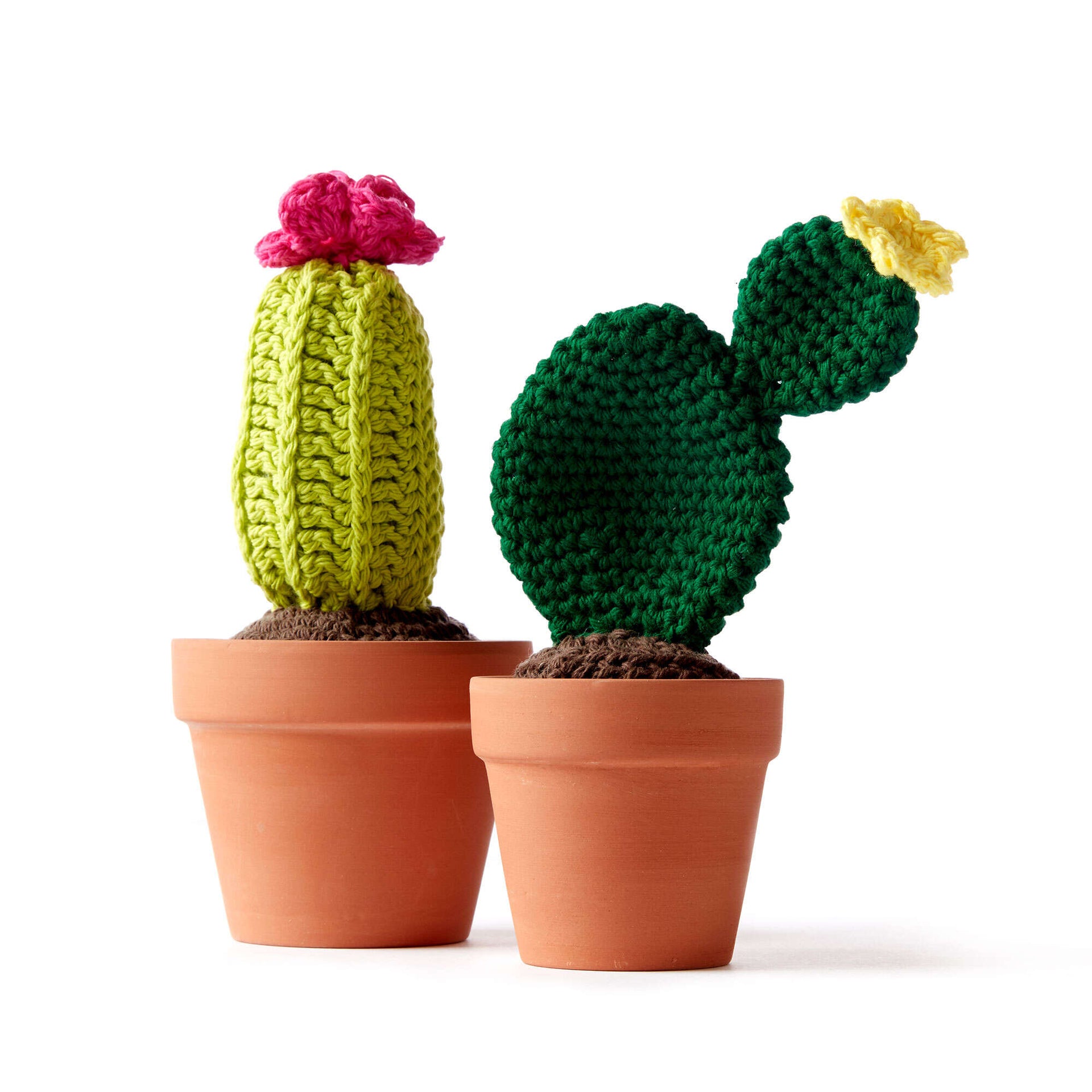 crochet prickly pear cactus Free Easy Lily Sugar'n Cream Cacti Crochet Pattern