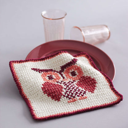 Lily Sugar'n Cream Owl Cross Stitch Dishcloth Crochet Single Size