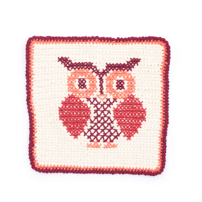 Lily Sugar'n Cream Owl Cross Stitch Dishcloth Crochet Single Size