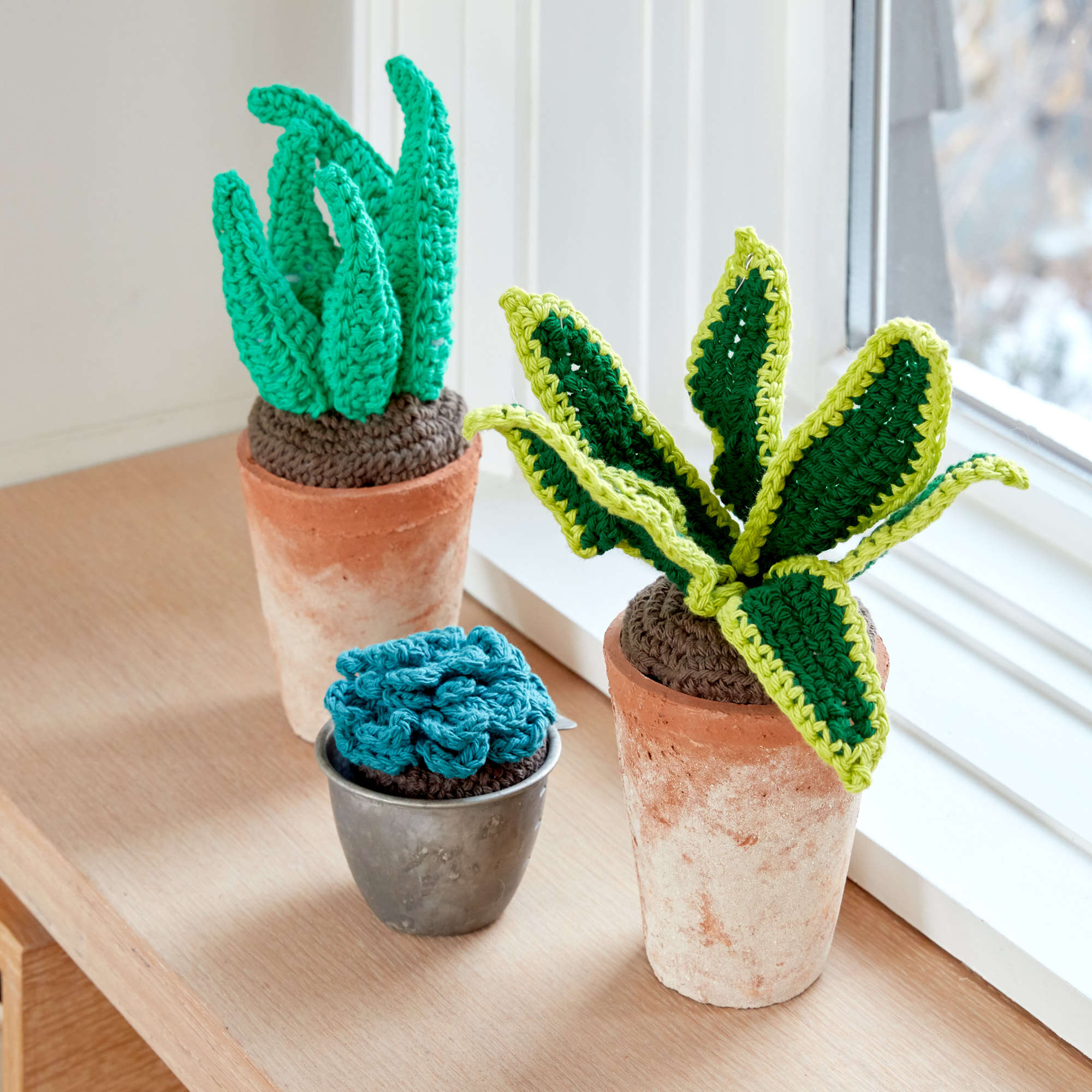 crochet succulents Free Easy Lily Sugar'n Cream Succulents Crochet Pattern