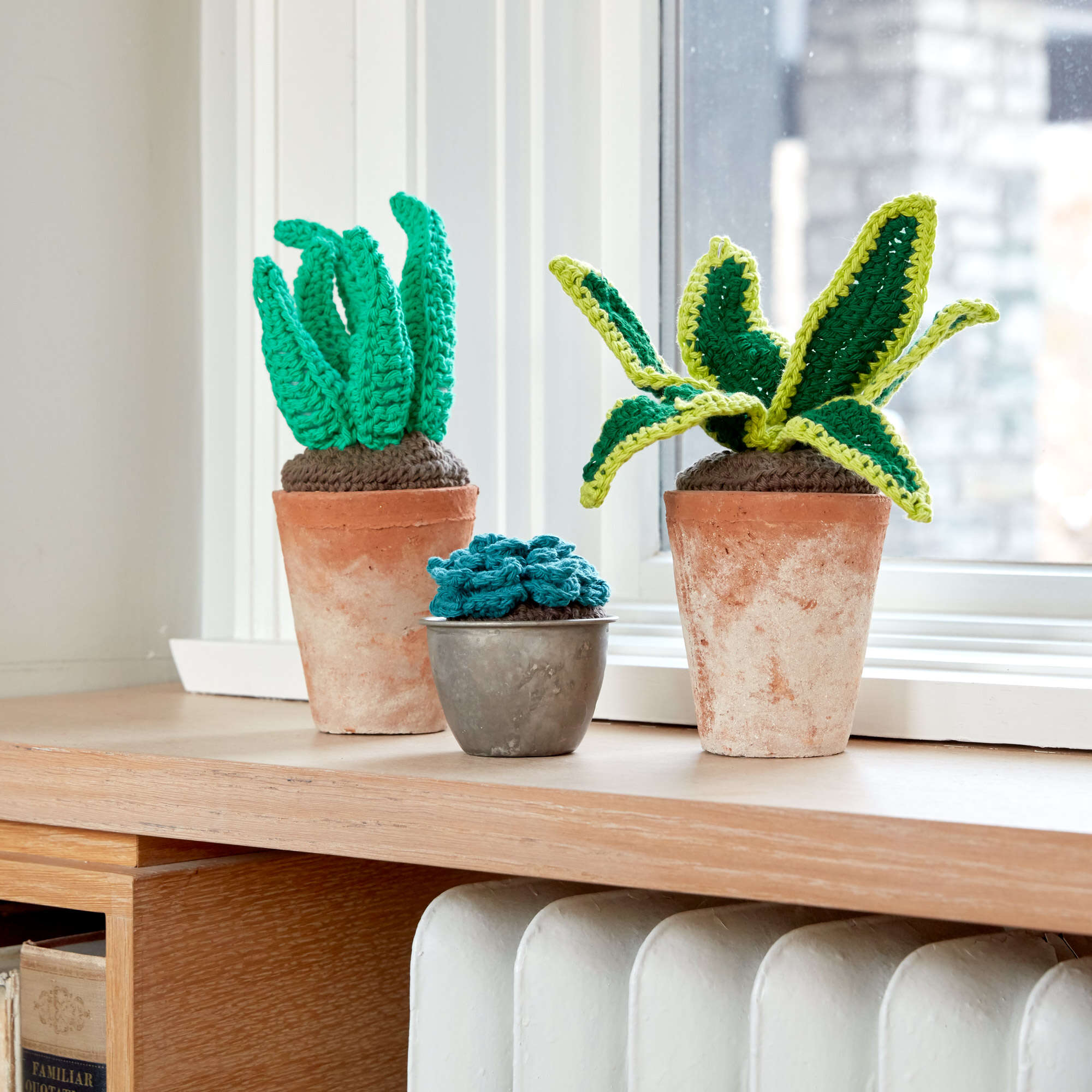 easy crochet succulent Free Easy Lily Sugar'n Cream Succulents Crochet Pattern