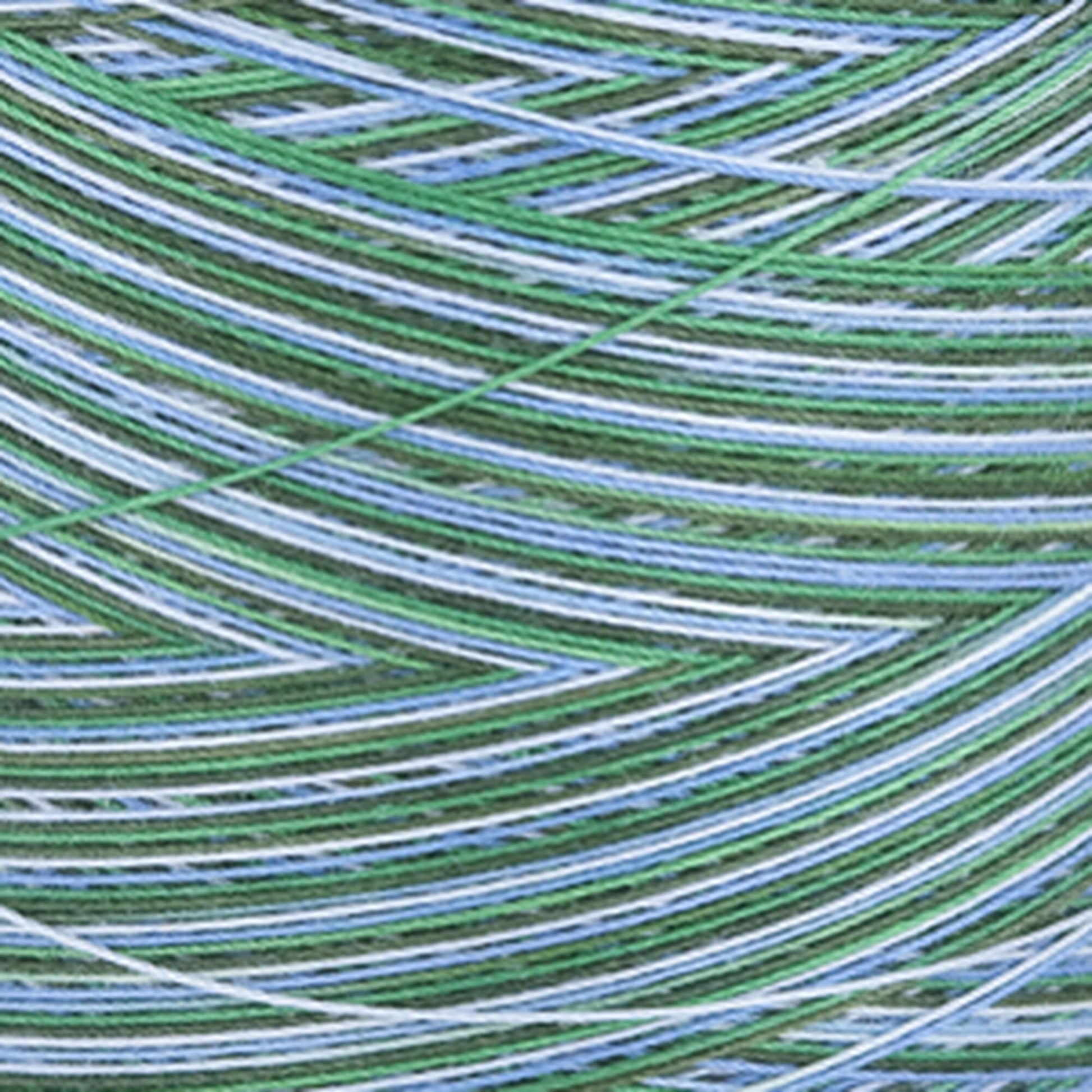 Coats & Clark Cotton Machine Quilting Multicolor Thread (1200 Yards) Seamist