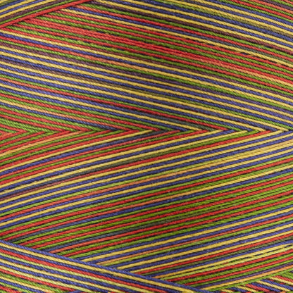 Coats & Clark Cotton Machine Quilting Multicolor Thread (1200 Yards) Mexicana